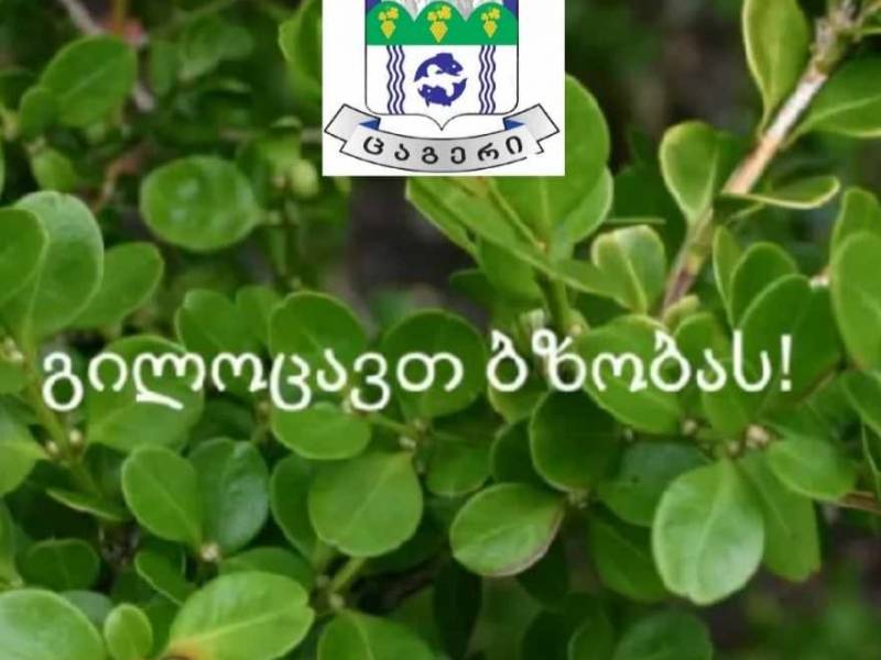 გილოცავთ ბზობას, უფლის დიდებით შესვლას იერუსალიმში!